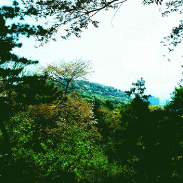 Living Monstrosity : Demo 2014 Living Monstrosity : Demo 2014